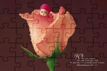 boccioli jigsaw puzzle