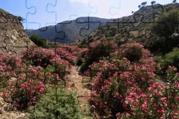 CRETE-4