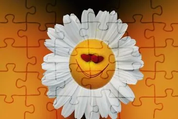 Margarita-  Compuestos,  Flor.png