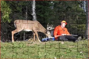 DORMILON jigsaw puzzle