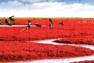 פאזל של Red Beach Panjin
