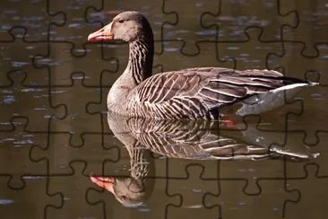 peers image jigsaw puzzle