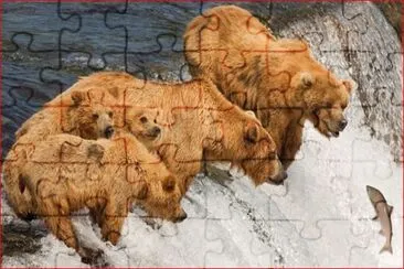 MALA SUERTE jigsaw puzzle
