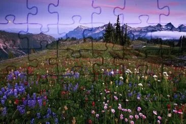 todo paisaje