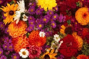 primavera jigsaw puzzle