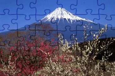 todo paisaje