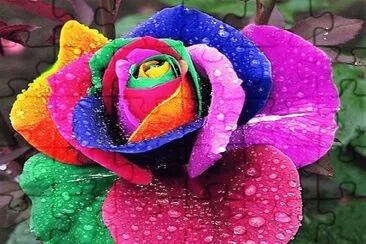 Colorido-Rosa. jigsaw puzzle