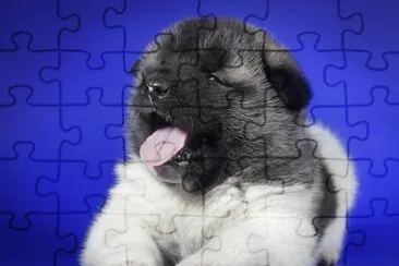 Cachorro-Bostezar.jpg jigsaw puzzle