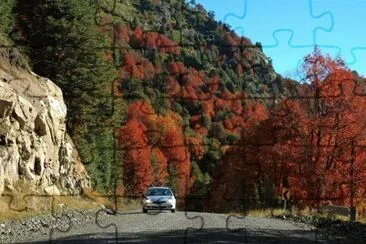 todo paisaje