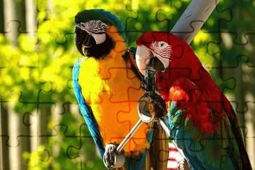 imagens jigsaw puzzle