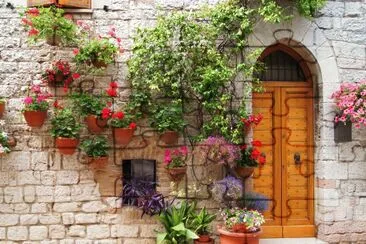 todo paisaje jigsaw puzzle