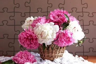 Fotografico-Flor.