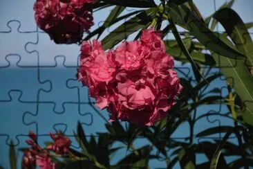peers image jigsaw puzzle