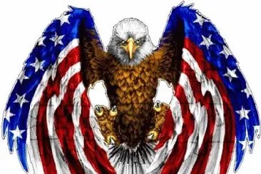flag 1 jigsaw puzzle