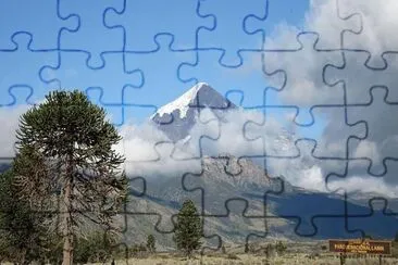  jigsaw puzzle
