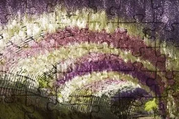 Wisteria Flower Tunnel jigsaw puzzle