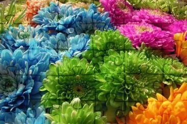 פאזל של Flores de Colores