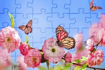 Mariposa