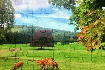 imagens jigsaw puzzle