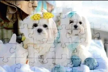 imagens jigsaw puzzle