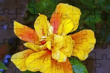 images jigsaw puzzle