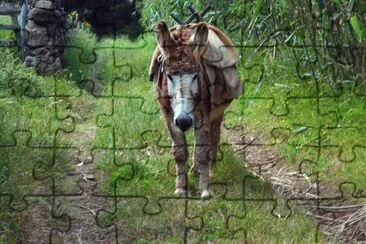 images jigsaw puzzle