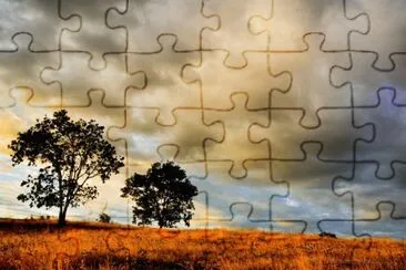 NATUREZA jigsaw puzzle