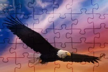 e13 jigsaw puzzle