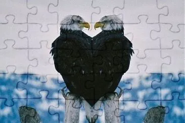 e15 jigsaw puzzle