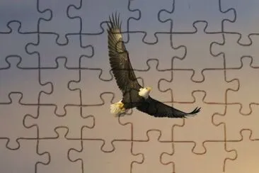 e21 jigsaw puzzle