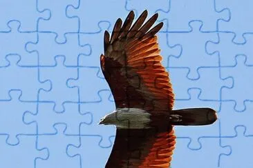 e23 jigsaw puzzle