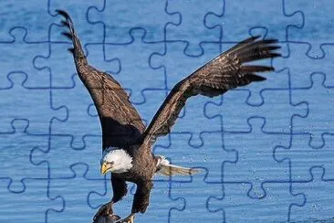 e28 jigsaw puzzle