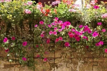 fleurs