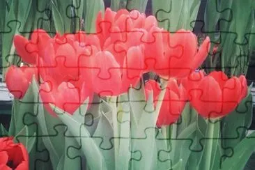 פאזל של imagens