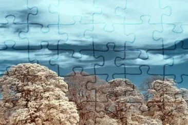 imagens jigsaw puzzle