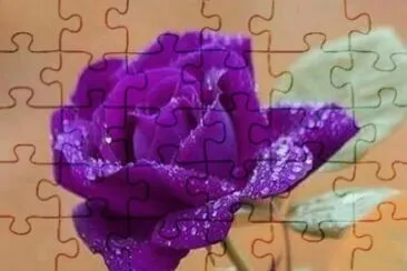 פאזל של imagens
