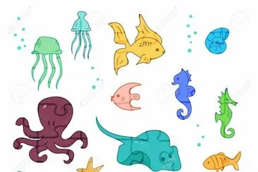 pulpo