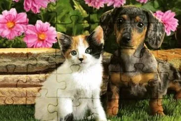 פאזל של Gatito y perrito en el jardÃ­n