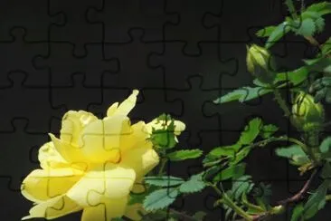 imagens jigsaw puzzle