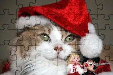 Gato-de-navidad.
