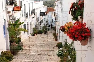 todo paisaje