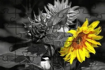imagens jigsaw puzzle