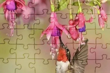 imagens jigsaw puzzle
