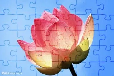 èŠ±2 jigsaw puzzle