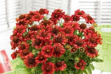 imagens jigsaw puzzle