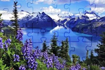 land 8 jigsaw puzzle