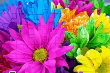 Flores de colores