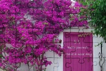 Puerta fucsia