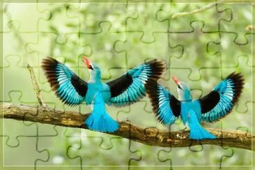 bi4 jigsaw puzzle