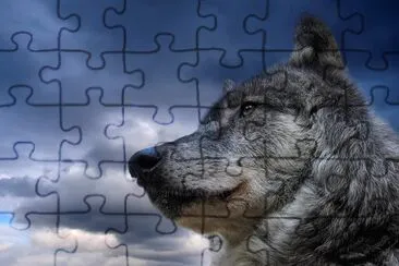 wf4 jigsaw puzzle